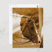 セフィアホースのモザイク ポストカード (正面/裏面)