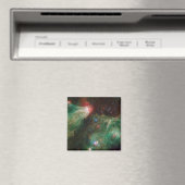 セフェウスBおよびCグリーンネブラ マグネット (インサイチュ (食洗機))