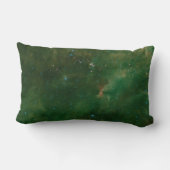 セフェウスBおよびCグリーンネブラ ランバークッション (裏面)