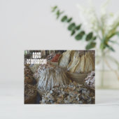 セブの干物 ポストカード (スタンド正面)