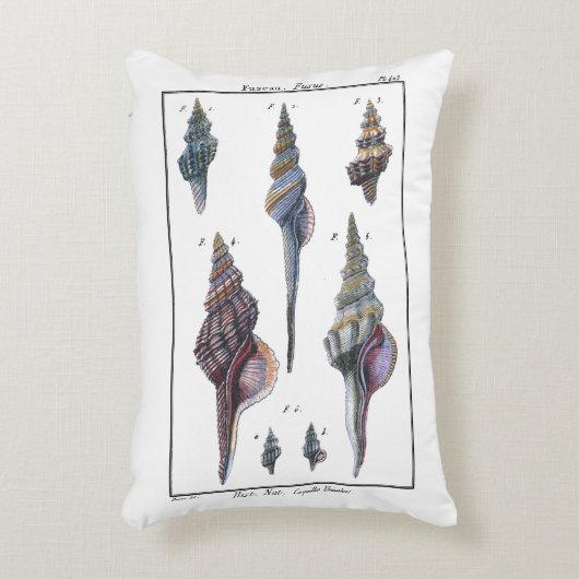 セブンカラフル・シーシェル アクセントクッション (正面(垂直))