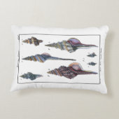 セブンカラフル・シーシェル アクセントクッション (裏面)