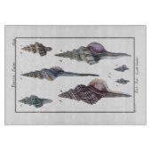 セブンカラフル・シーシェル カッティングボード (正面)