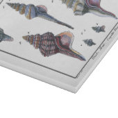 セブンカラフル・シーシェル カッティングボード (角)