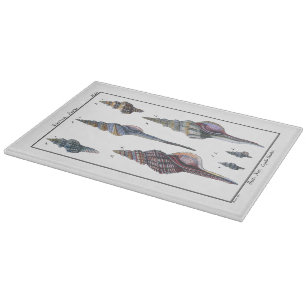 セブンカラフル・シーシェル カッティングボード