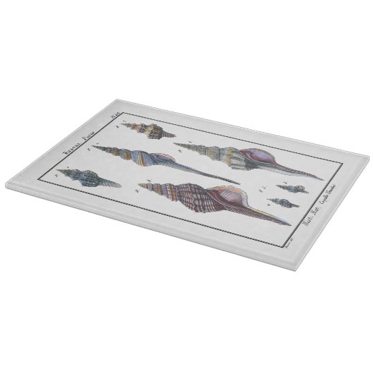 セブンカラフル・シーシェル カッティングボード (角)