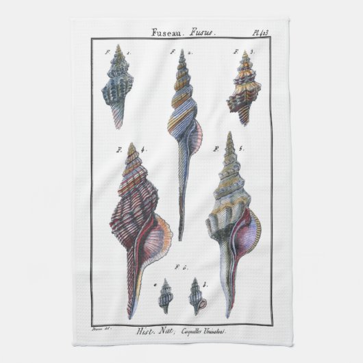 セブンカラフル・シーシェル キッチンタオル (縦)