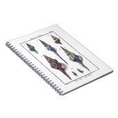 セブンカラフル・シーシェル ノートブック (右側)