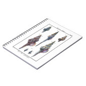 セブンカラフル・シーシェル ノートブック (左側)