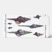 セブンカラフル・シーシェル Case-Mate iPhoneケース (裏面 (横))