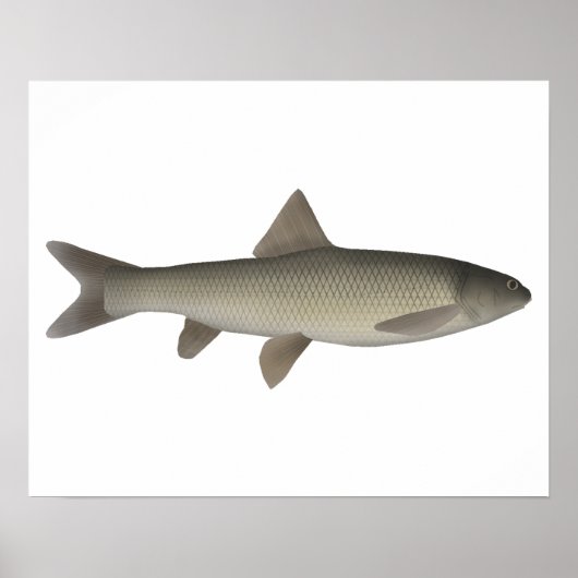 セブンクラムリア ポスター (正面)