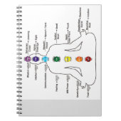 セブンチャクラ ノートブック (正面)