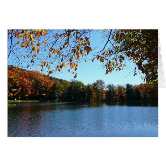 セブン春秋の木と池 (正面横)