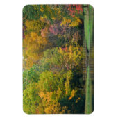 セブン春秋ブリッジII秋の風景 マグネット (縦)