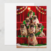 セブン・パグス・ア・ポージング 招待状 (正面/裏面)