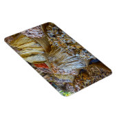 セブ市場 マグネット (右側)