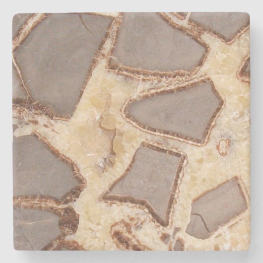 セプタリア小結節興味深い岩 ストーンコースター (正面)