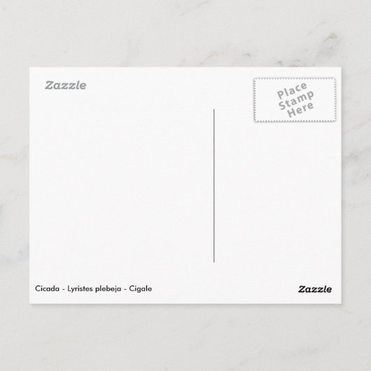 セミが滲出したもの ポストカード (裏面)