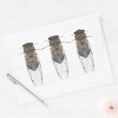 セミのシール 長方形シール (封筒)