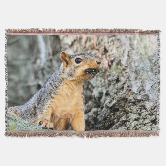 セミのスナッカー スローブランケット (正面)