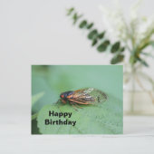 セミの写真の誕生日 ポストカード (スタンド正面)