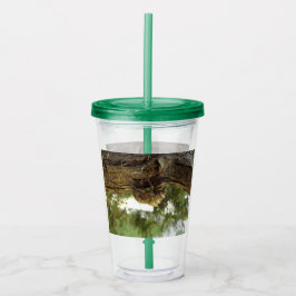 セミの殻。急いでいた。 アクリルタンブラー