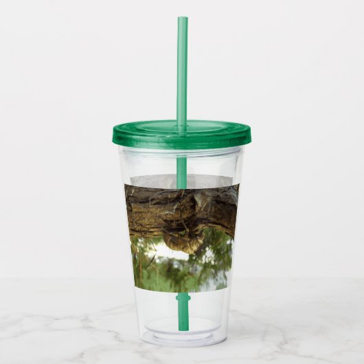 セミの殻。急いでいた。 アクリルタンブラー (正面)