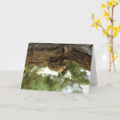 セミの殻。急いでいた。 カード (黄色い花)