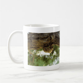 セミの殻。急いでいた。 コーヒーマグカップ