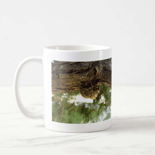 セミの殻。急いでいた。 コーヒーマグカップ (左)