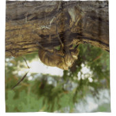 セミの殻。急いでいた。 シャワーカーテン (正面)