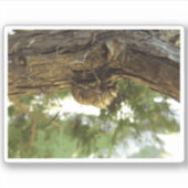 セミの殻。急いでいた。 シール (正面)