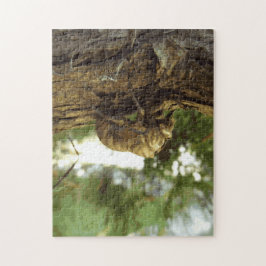 セミの殻。急いでいた。 ジグソーパズル