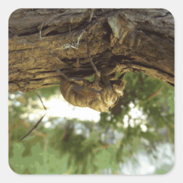 セミの殻。急いでいた。 スクエアシール