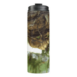 セミの殻。急いでいた。 タンブラー