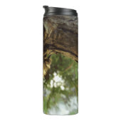 セミの殻。急いでいた。 タンブラー (回転右)