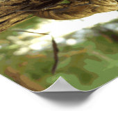 セミの殻。急いでいた。 ポスター (角)