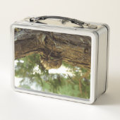 セミの殻。急いでいた。 メタルランチボックス (裏面)