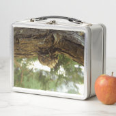 セミの殻。急いでいた。 メタルランチボックス (インサイチュ)