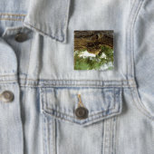 セミの殻。急いでいた。 缶バッジ (インサイチュ)