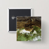 セミの殻。急いでいた。 缶バッジ (正面&裏面)