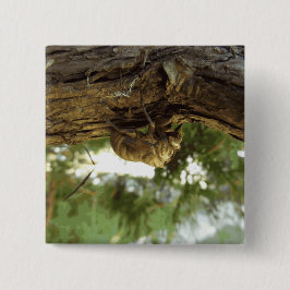 セミの殻。急いでいた。 缶バッジ