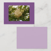 セミグロスホワイトローズ開花 名刺 (正面/裏面)