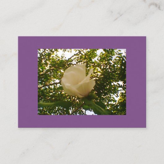 セミグロスホワイトローズ開花 名刺 (正面)