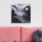 セミソポチノイ島の衛星画像 キャンバスプリント (インサイチュ (リビング))