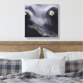 セミソポチノイ島の衛星画像 キャンバスプリント (インサイチュ (寝室))