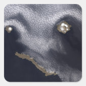 セミソポチノイ島の衛星画像 スクエアシール (正面)