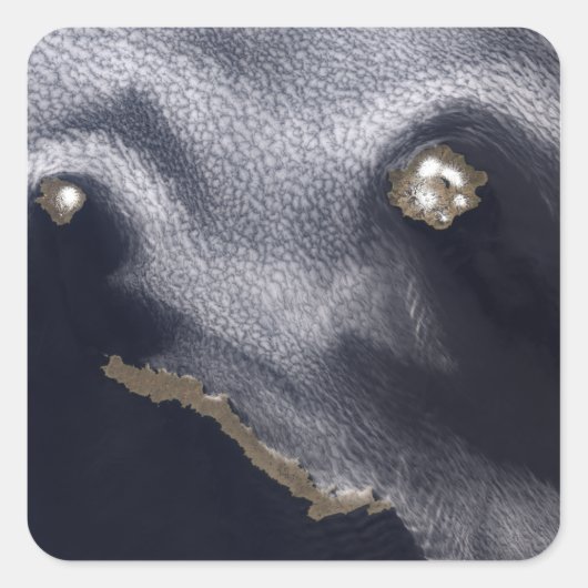 セミソポチノイ島の衛星画像 スクエアシール (正面)