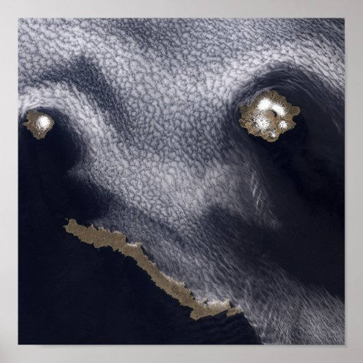 セミソポチノイ島の衛星画像 ポスター (正面)