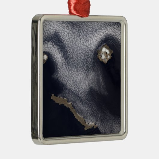 セミソポチノイ島の衛星画像 メタルオーナメント (右)